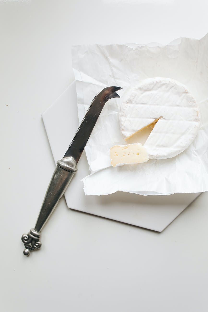 photo of knife near camembert cheese