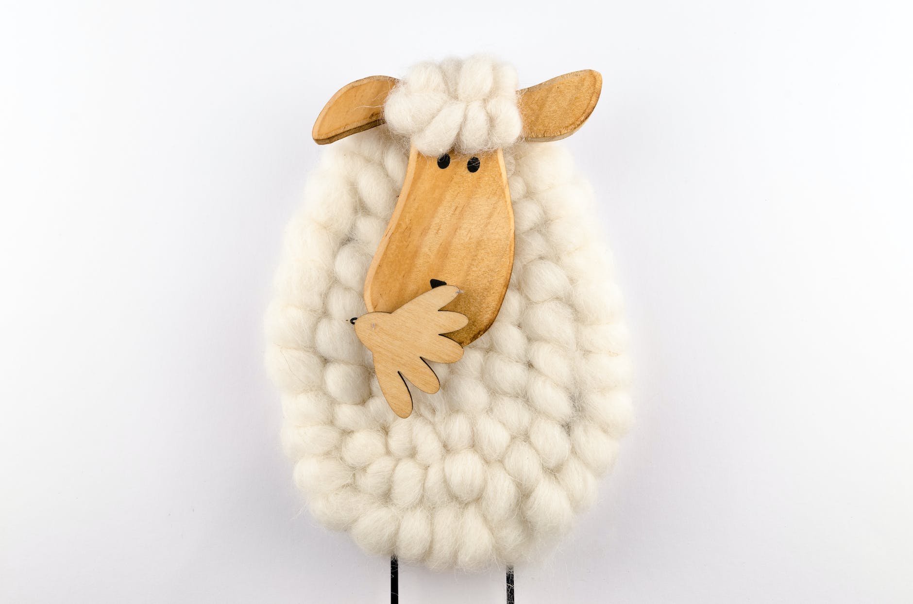 cotton lamb artwork